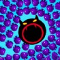 fnf戈菲猫模组v3.0官方正版安装教程
