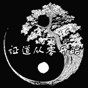 证道从零开始游戏