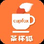 茶杯狐壁纸高清版