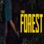 the forest steam联机