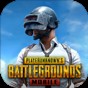 pubg(国际服)下载