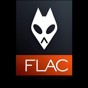 flac 播放器