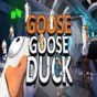 duckduckgo google